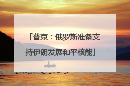 普京：俄罗斯准备支持伊朗发展和平核能