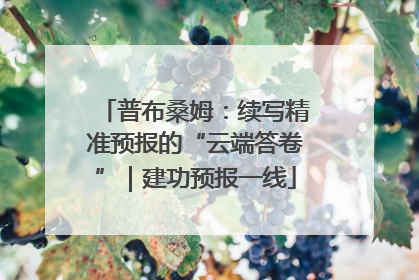 普布桑姆：续写精准预报的“云端答卷”｜建功预报一线