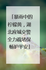 暴雨中的柠檬黄，湖北应城交警全力疏堵保畅护平安