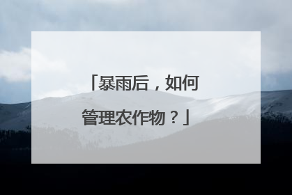 暴雨后,如何管理农作物?