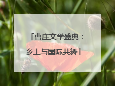曹庄文学盛典：乡土与国际共舞