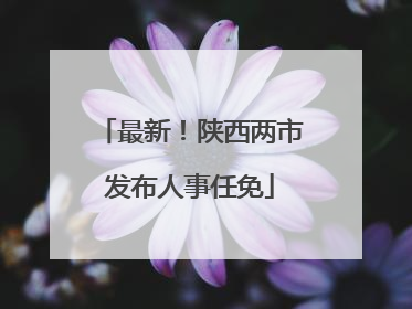 最新！陕西两市发布人事任免