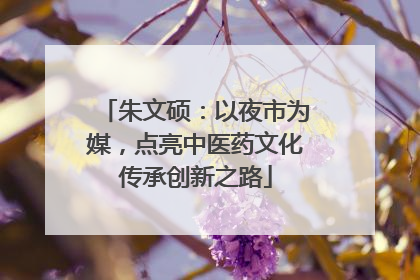 朱文硕：以夜市为媒，点亮中医药文化传承创新之路