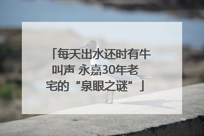 每天出水还时有牛叫声 永嘉30年老宅的“泉眼之谜”