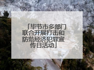 毕节市多部门联合开展打击和防范经济犯罪宣传日活动