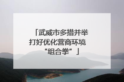 武威市多措并举打好优化营商环境“组合拳”