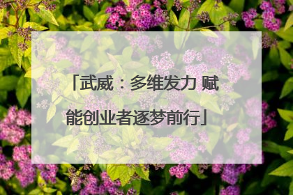 武威：多维发力 赋能创业者逐梦前行