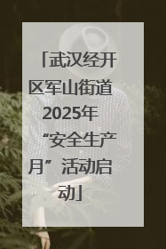 武汉经开区军山街道2025年“安全生产月”活动启动