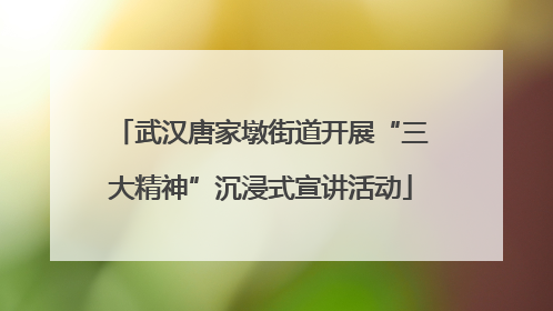 武汉唐家墩街道开展“三大精神”沉浸式宣讲活动