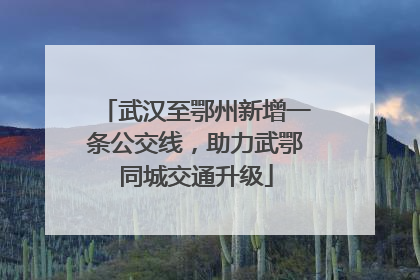 武汉至鄂州新增一条公交线，助力武鄂同城交通升级