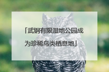 武钢有限湿地公园成为珍稀鸟类栖息地