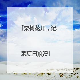 栾树花开，记录夏日浪漫