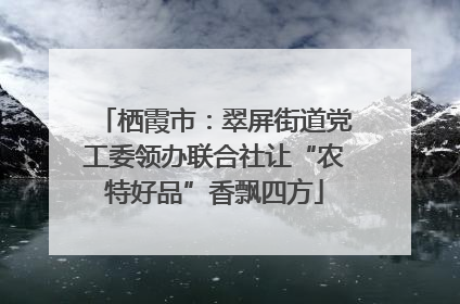 栖霞市：翠屏街道党工委领办联合社让“农特好品”香飘四方