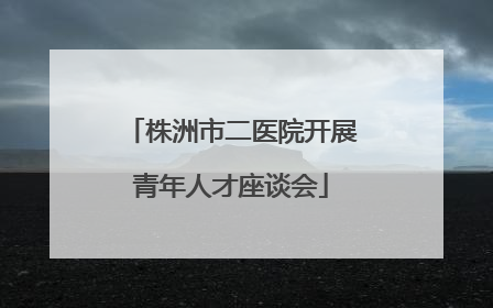 株洲市二医院开展青年人才座谈会