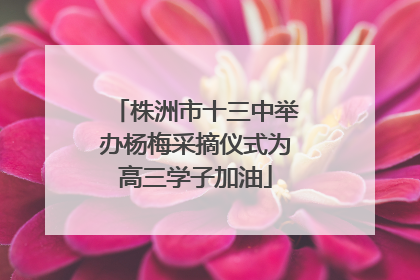 株洲市十三中举办杨梅采摘仪式为高三学子加油