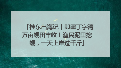 桂东出海记丨即墨丁字湾万亩蚬田丰收！渔民泥里挖蚬，一天上岸过千斤