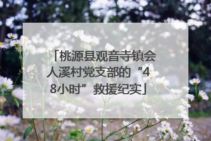 桃源县观音寺镇会人溪村党支部的“48小时”救援纪实