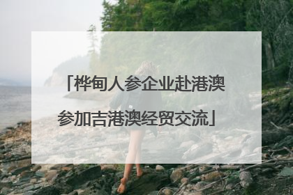 桦甸人参企业赴港澳参加吉港澳经贸交流