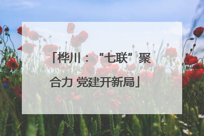 桦川：“七联”聚合力 党建开新局