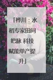 桦川：水稻专家田间把脉 科技赋能单产提升