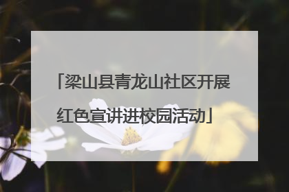 梁山县青龙山社区开展红色宣讲进校园活动
