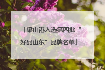 梁山港入选第四批“好品山东”品牌名单
