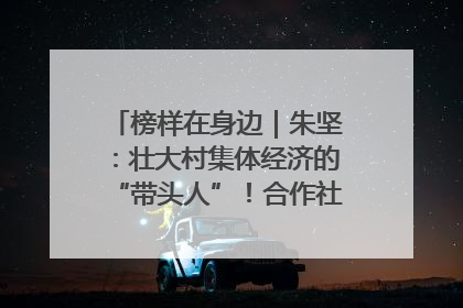 榜样在身边｜朱坚：壮大村集体经济的“带头人”！合作社经营收入三年内突破1200万元