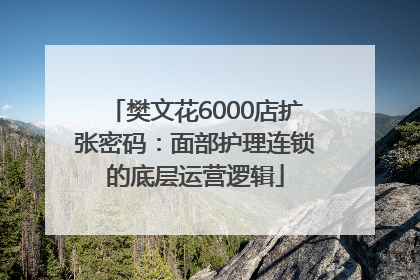 樊文花6000店扩张密码：面部护理连锁的底层运营逻辑