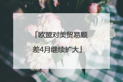 欧盟对美贸易顺差4月继续扩大