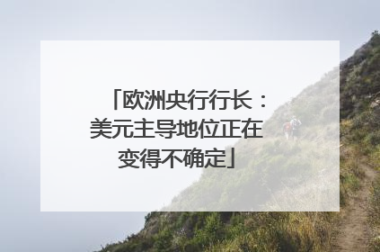 欧洲央行行长：美元主导地位正在变得不确定