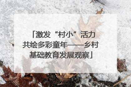 激发“村小”活力 共绘多彩童年——乡村基础教育发展观察