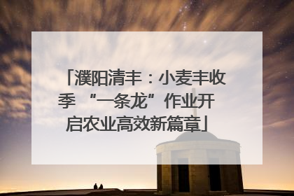 濮阳清丰：小麦丰收季 “一条龙”作业开启农业高效新篇章