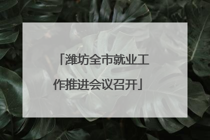 潍坊全市就业工作推进会议召开