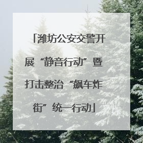 潍坊公安交警开展“静音行动”暨打击整治“飙车炸街”统一行动
