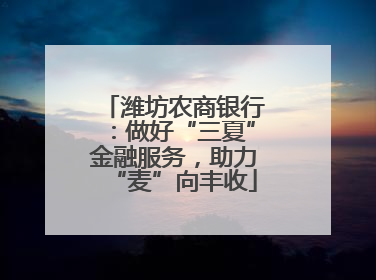 潍坊农商银行：做好“三夏”金融服务，助力“麦”向丰收