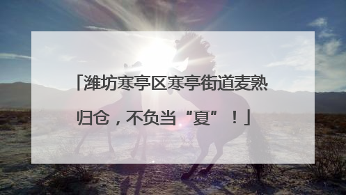 潍坊寒亭区寒亭街道麦熟归仓，不负当“夏”！