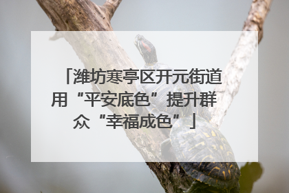 潍坊寒亭区开元街道用“平安底色”提升群众“幸福成色”