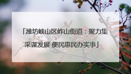 潍坊峡山区岞山街道：聚力集采谋发展 便民惠民办实事