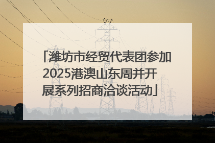 潍坊市经贸代表团参加2025港澳山东周并开展系列招商洽谈活动