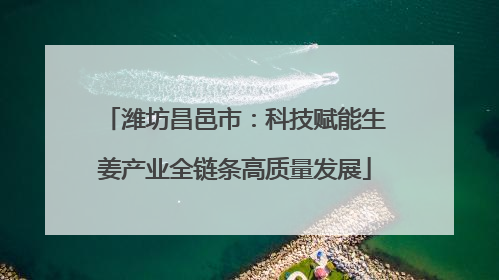 潍坊昌邑市：科技赋能生姜产业全链条高质量发展