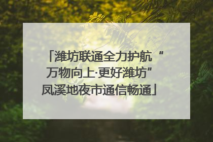 潍坊联通全力护航“万物向上·更好潍坊”凤溪地夜市通信畅通
