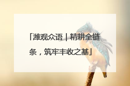 潍观众语｜精耕全链条，筑牢丰收之基
