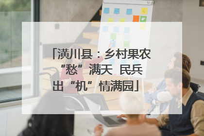潢川县：乡村果农“愁”满天  民兵出“机”情满园