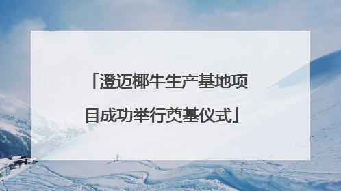 澄迈椰牛生产基地项目成功举行奠基仪式