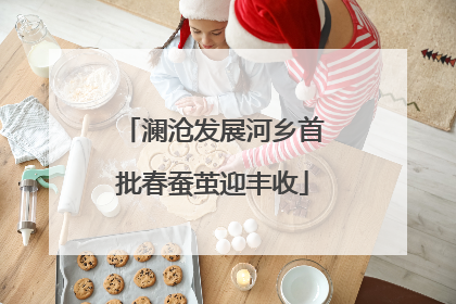 澜沧发展河乡首批春蚕茧迎丰收