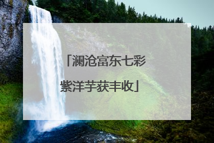澜沧富东七彩紫洋芋获丰收