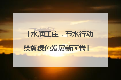 水润王庄：节水行动绘就绿色发展新画卷