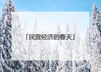 民营经济的春天