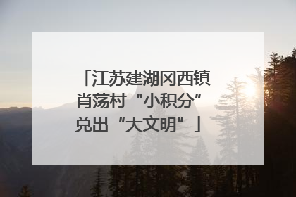 江苏建湖冈西镇肖荡村“小积分”兑出“大文明”