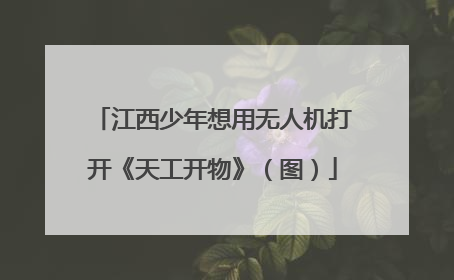 江西少年想用无人机打开《天工开物》（图）